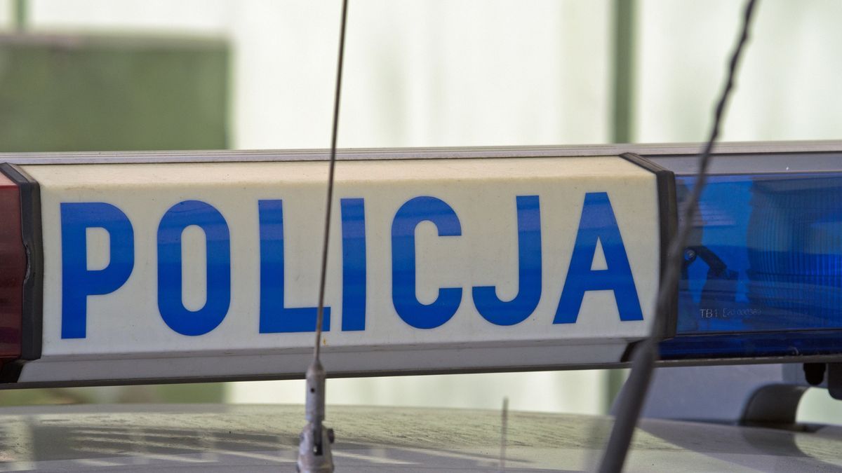 Policja Polska
