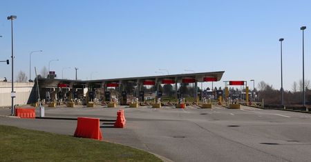 Kanada. Niedźwiedź próbował przekroczyć granicę z USA