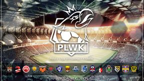 Polska Liga Wirtualnych Klubów, czyli jedenastu zawodników w jednej drużynie.