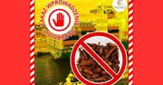 Gdańsk: Ponad 15 ton suszonych maślaków zatrzymanych w porcie. Wykryto poważne uchybienia