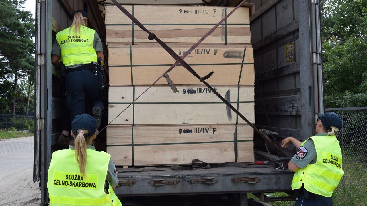 Wielka akcja służb: Drewno spod sankcji? Przeszukania, zabezpieczenia i nowe tropy