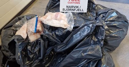 Niemiec wpadł na granicy. "Nie wiem, skąd tyle wziął"
