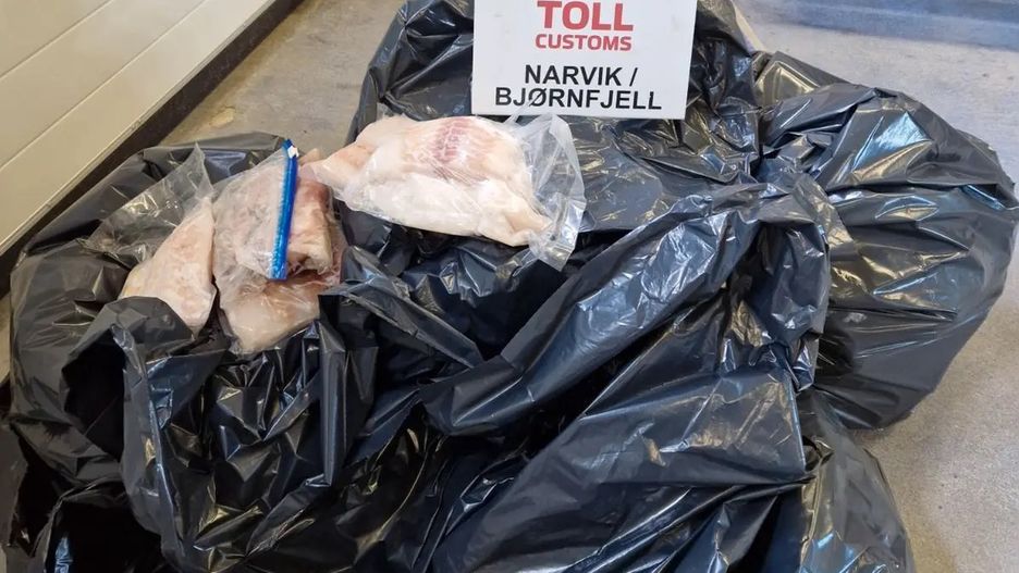 Norwescy celnicy skonfiskowali ponad 99 kg ryb