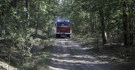 Bieszczadzki Park Narodowy. 9 zastępów straży pożarnej walczyło z ogniem