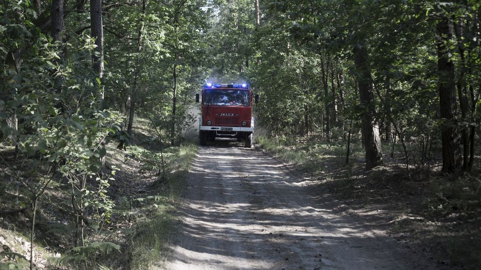 Pożar w Bieszczadzkim Parku Narodowym.