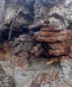 Arsenał broni z II wojny światowej na budowie. Zaskakujące odkrycie w Sopocie