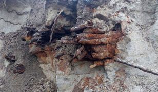 Arsenał broni z II wojny światowej na budowie. Zaskakujące odkrycie w Sopocie