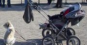 Ze sklepów wycofano ponad 220 tys. niebezpiecznych wózków dziecięcych