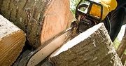 Lasy Państwowe kupią biurowiec
