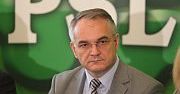 PSL za referendum ws. elektrowni atomowych w Polsce
