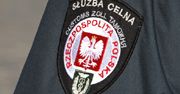 Platyna i komórki giną na granicy