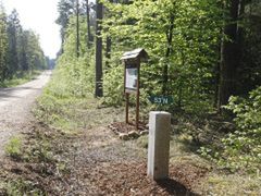 Puszcza Knyszyńska - jedna z najpiękniejszych w Polsce