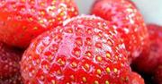 Truskawki tańsze niż w ubiegłym roku
