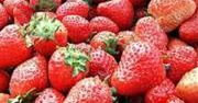 Kończą się zbiory truskawek
