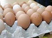 Ekolodzy apelują przed świętami: kupuj jajka z głową!
