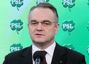 PSL proponuje unieważnienie umów na opcje walutowe