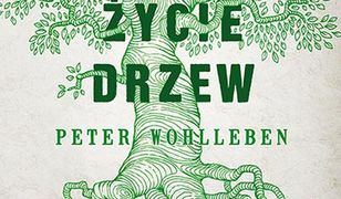 Sekretne życie drzew