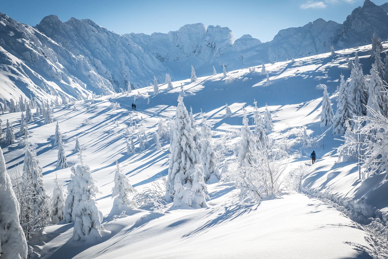 Śryż, okiść i morszkulce. Zapomniane zimowe słownictwo