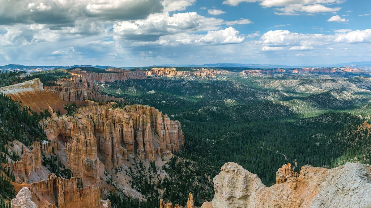 Chłopiec miał dużo szczęścia.