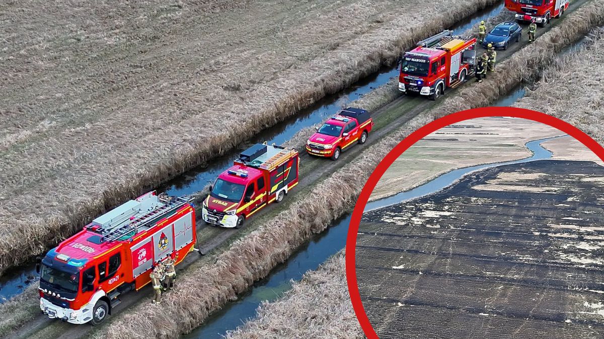 Pożar łąk nadnoteckich