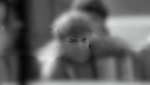 Jesteś spostrzegawczy? Rozpoznaj polskich sportowców po oczach!