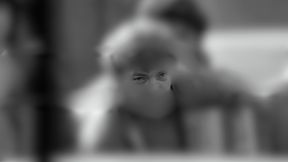 Jesteś spostrzegawczy? Rozpoznaj polskich sportowców po oczach!