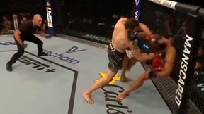 Demolka w 19 sekund. Zobacz, co zrobił były zawodnik KSW [WIDEO]