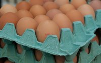 Bdzie elektroniczna baza cen jajek. Mobilizacja brany