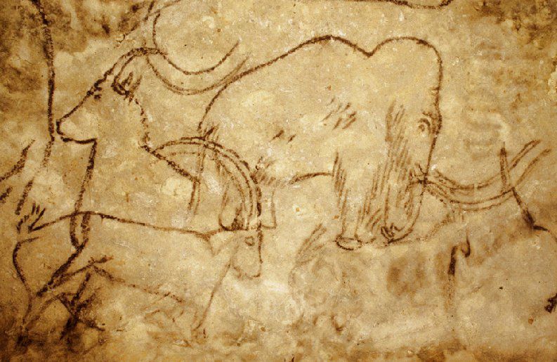 Naskalny rysunek mamuta odnaleziony w jaskini Rouffignac