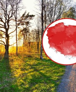 Kwiecień 2025 wyjątkowo suchy. Drugi najcieplejszy miesiąc w historii