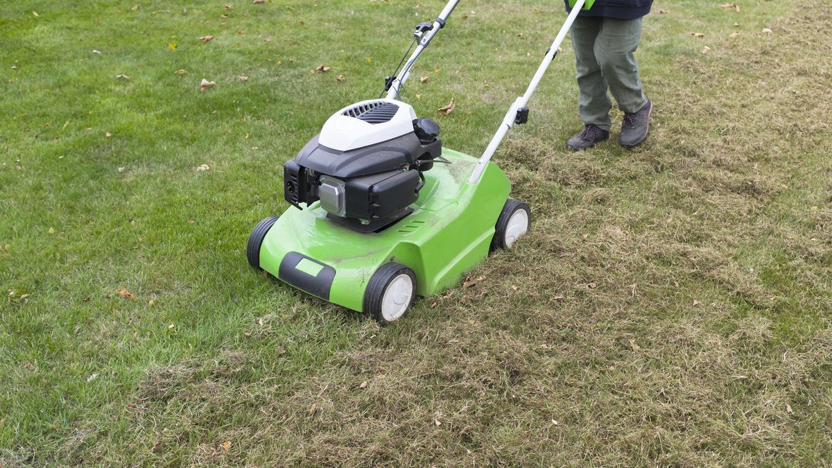 Przygotowanie trawnika do zimy