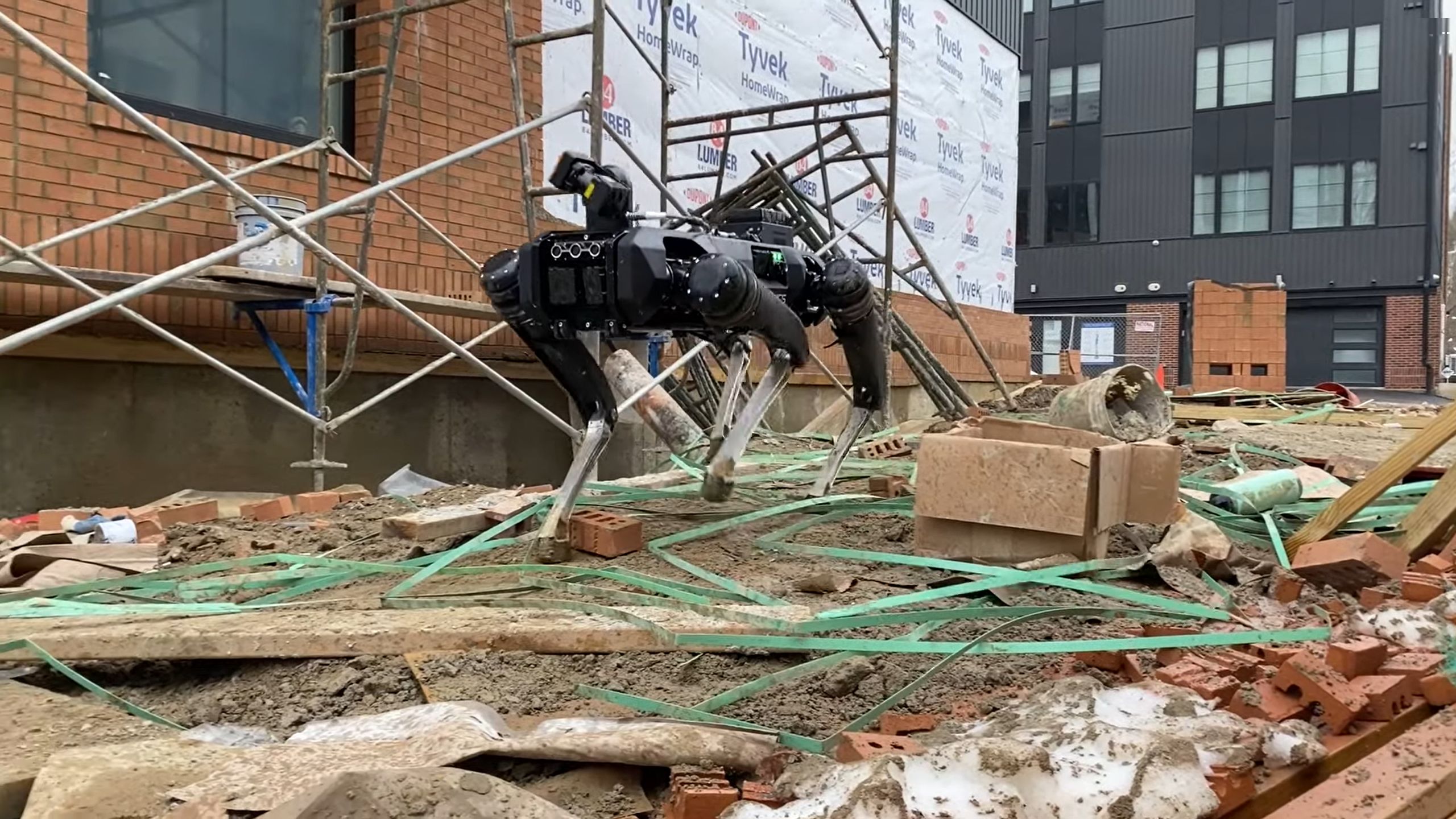 Robo-pies snajperski. Obawy badaczy się spełniają 3
