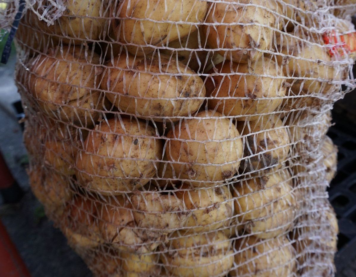 Jaka jest cena ziemniaka w połowie września 2025 r.?