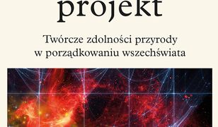 Kosmiczny projekt. Twórcze zdolności przyrody w porządkowaniu wszechświata