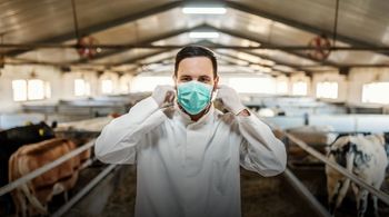Alarm w sprawie mięsa. Weterynarze nie dostają wypłat