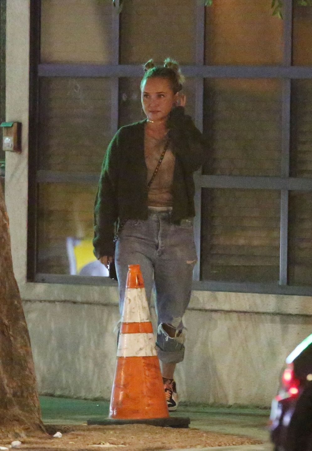 Hayden Panettiere 