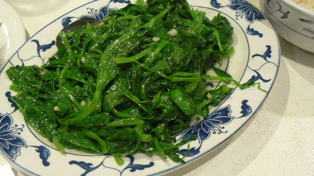 Kiełki grochu gotowane z dodatkiem soli, odsączone