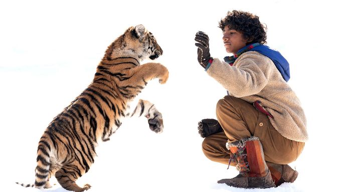 Pimi z Krainy Tygrysów