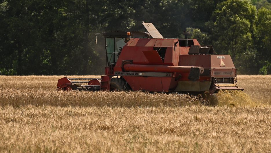 W trakcie żniw dochodzi do konfliktów 