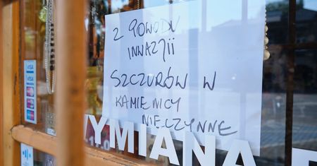 Inwazja szczurów w kamienicy w centrum Lublina. Właściciel sklepu: „Straty dzienne na 700-1000 zł”