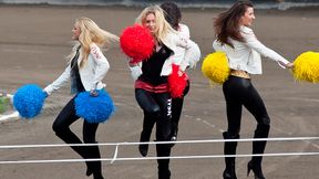 Puchar Szwecji dla Vargarny