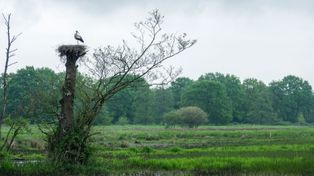 Kto zapłaci za zalewanie pól? Unijne pieniądze mogą nie wystarczyć