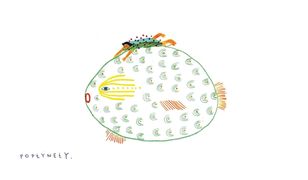 Najpiękniejsze książki dla twojego dziecka. "Jasnowidze" rozdane