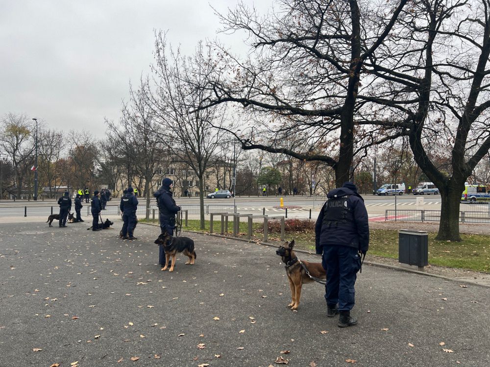 Grupa policjantów z psami patrolowymi stoi na chodniku w parku, w tle widoczne radiowozy.
