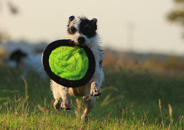 Co czuje człowiek, który wraca do Internetu po roku przerwy? Już to wiemy 2
