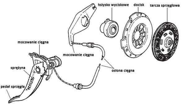 Zdjęcie ilustracyjne do artykułu