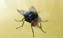 Pierwszy przypadek potwierdzony. Alarm w Meksyku