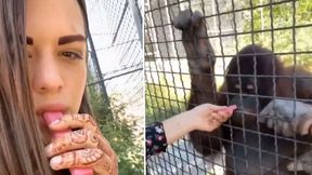 Fani wściekli po tym, co zrobiła w zoo. "Idiotka"