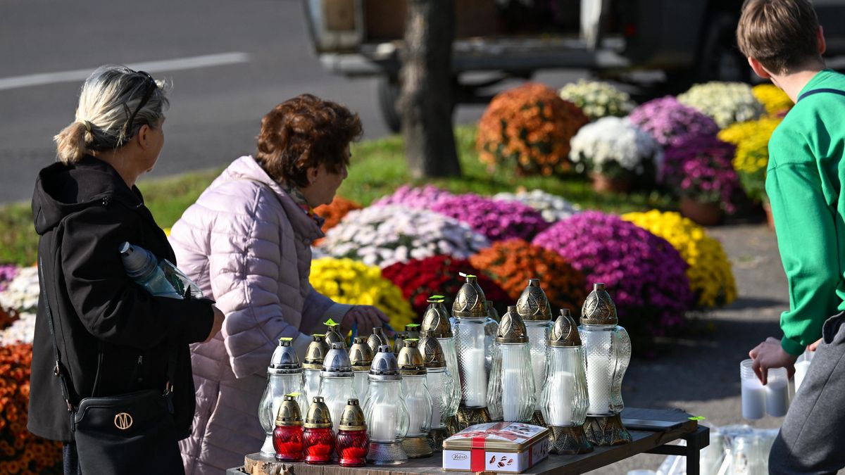 Już niedługo zacznie się masowa sprzedaż chryzantem