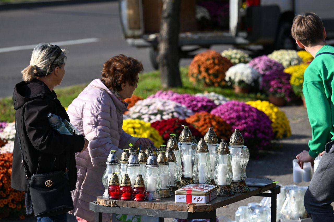 Tyle kosztują chryzantemy. Ceny zaskakują